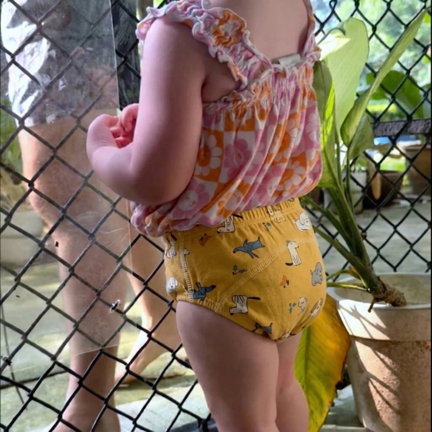 Potty Training Underwear