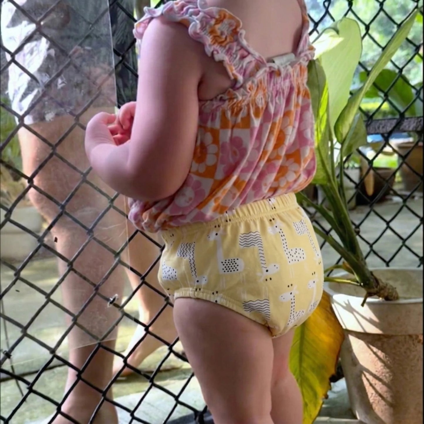 Potty Training Underwear (FREE Today)