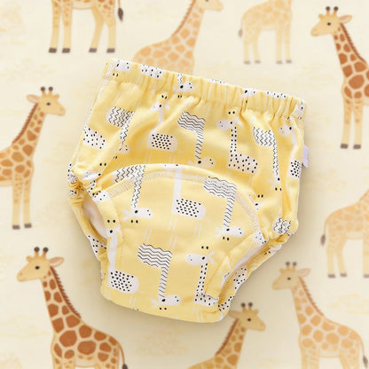 Potty Training Underwear